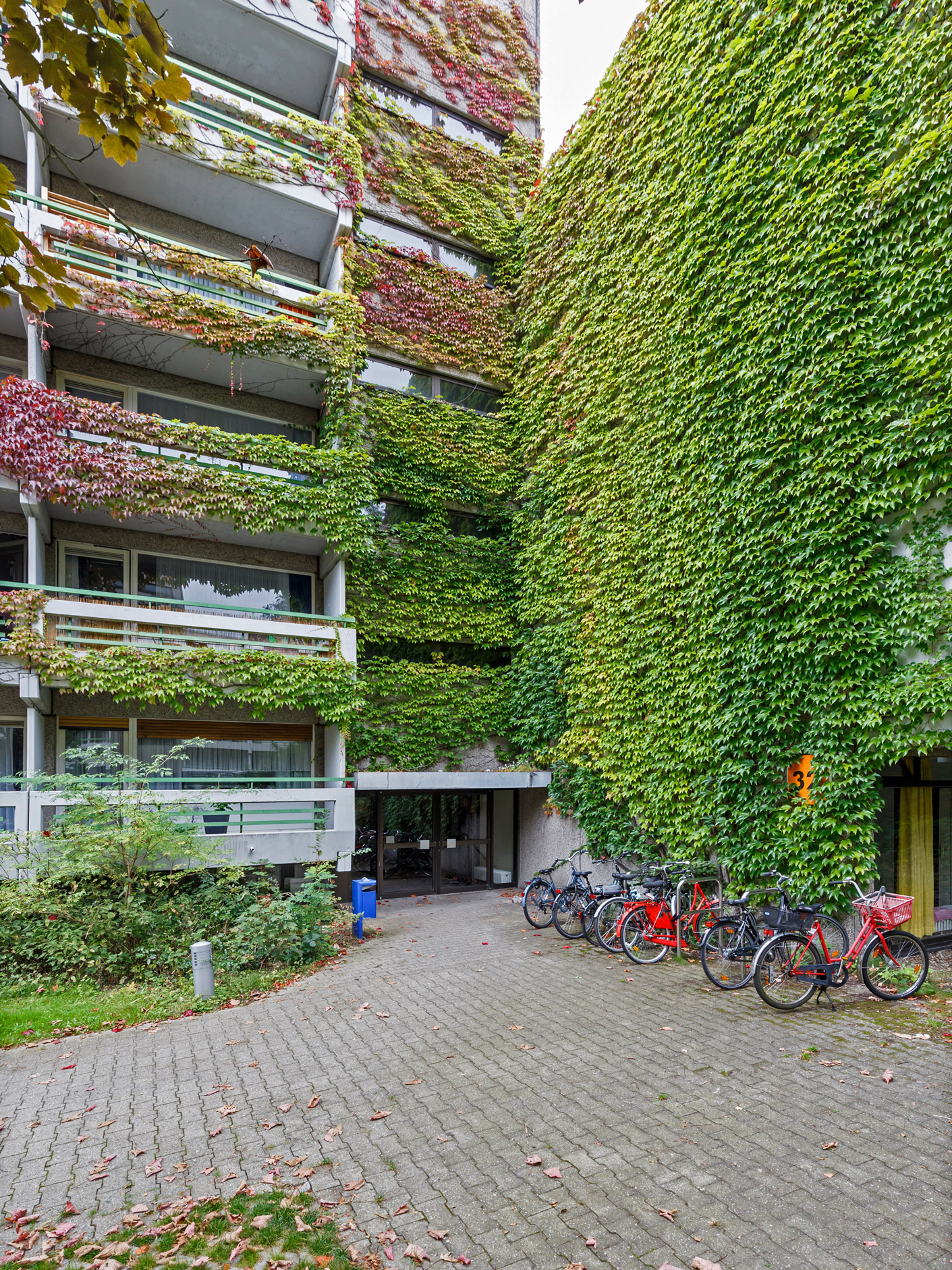 Der Eingang eines mehrstöckigen Hauses mit Balkonen. Die Fassade ist mit Wein bewachsen.