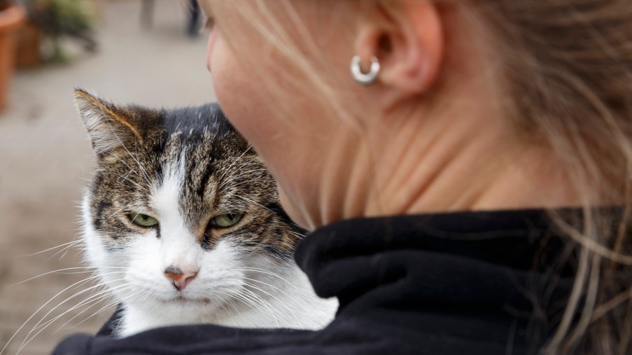 eine Frau die mit einer Katze kuschelt