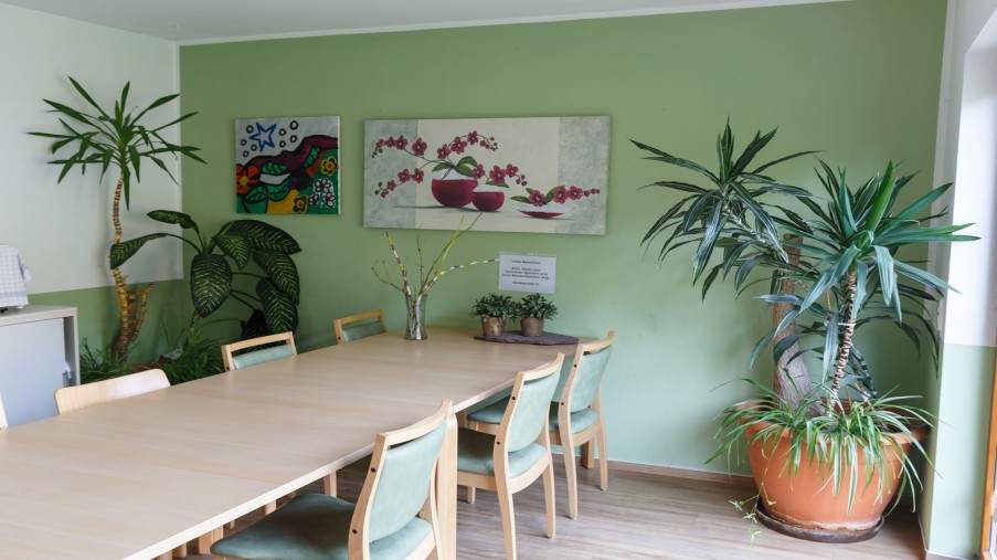 Ein großer Tisch mit mehreren Stühlen steht vor einer grünen Wand, daneben stehen Zimmerpflanzen