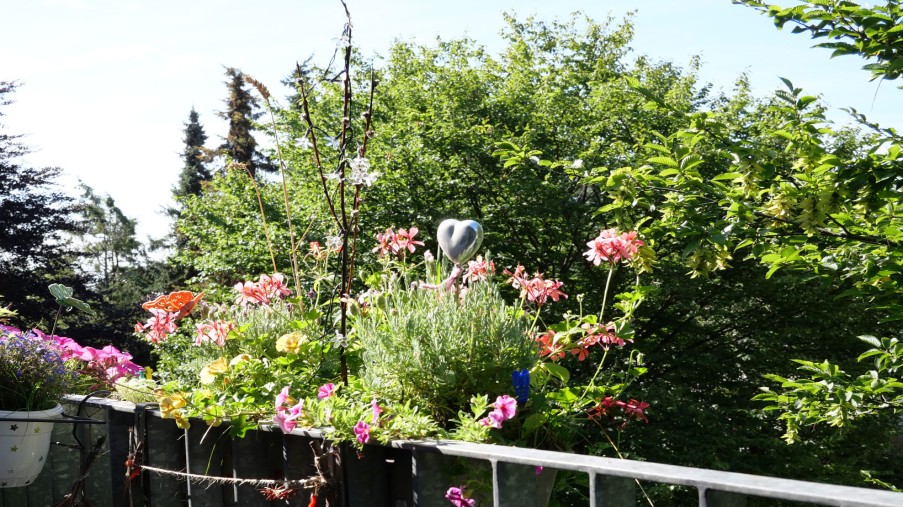 Blumenkästen am Geländer des Balkons, dahinter sind Bäume